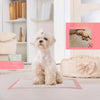 A fluffy light-colored dog sitting on a pink absorbent pad with a beige storage bag nearby.