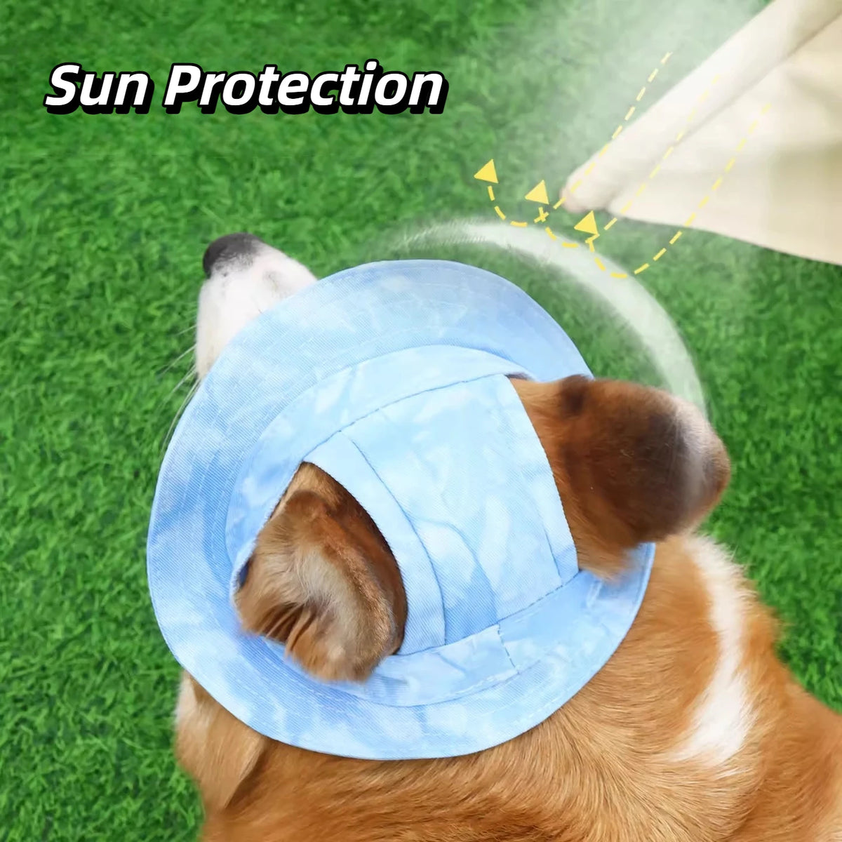 A dog wearing a light blue sun protection hat with ear holes outdoors.