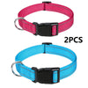 Two pink and blue nylon dog collars with buckles shown against a white background
