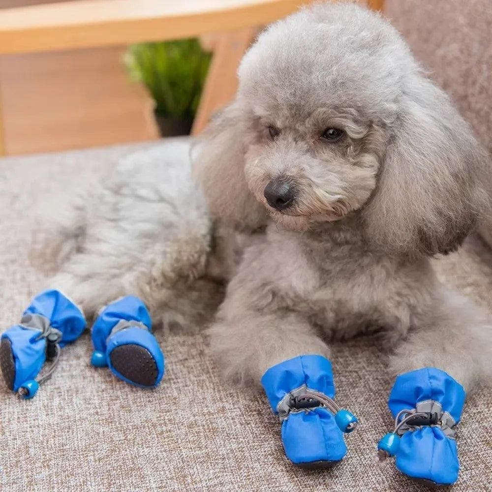 A fluffy gray dog wearing blue anti-slip booties with reflective grips.