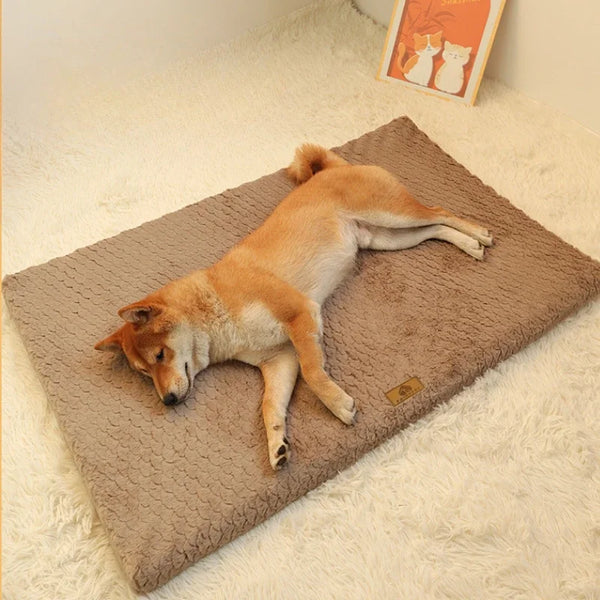 An orange and white dog lying on a beige orthopedic memory foam pet bed with a faux fur cover.