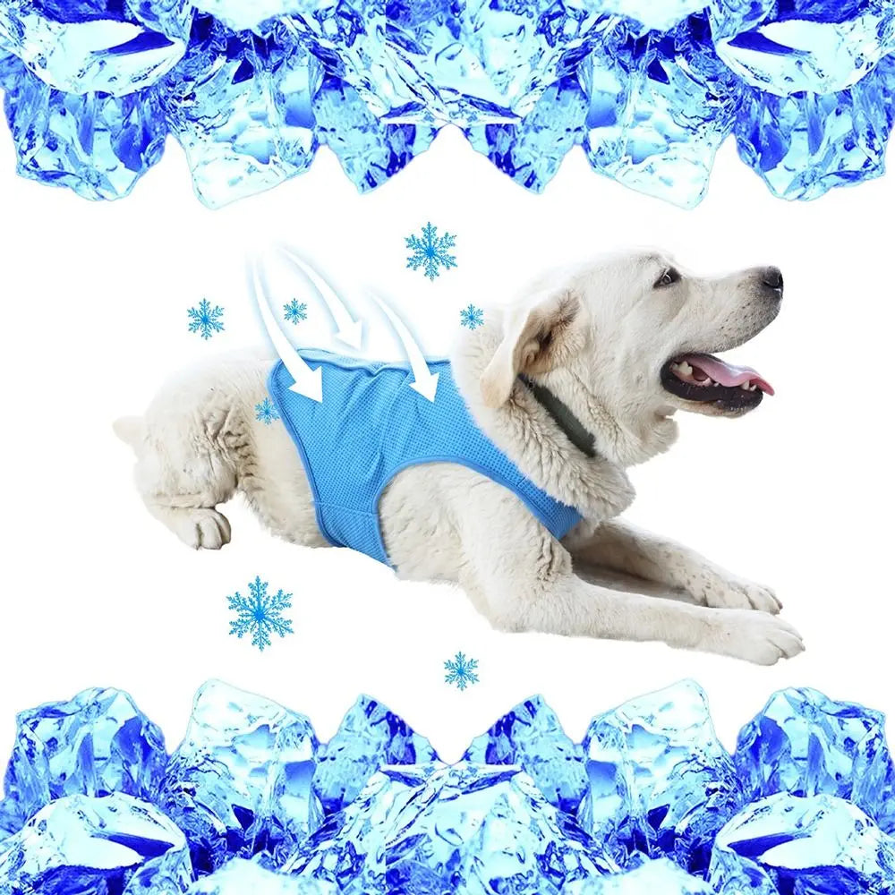 A happy white dog wearing a blue breathable cooling vest against a background of blue ice crystals.