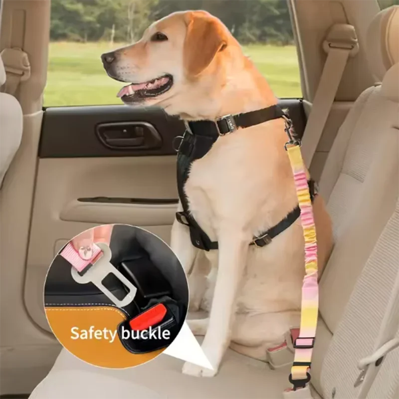 A golden retriever sits in a car seat with an adjustable safety buckle and elastic bungee buffer attached to the harness.