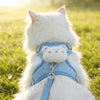 A fluffy white cat wearing a light blue animal walking harness and leash set outdoors.