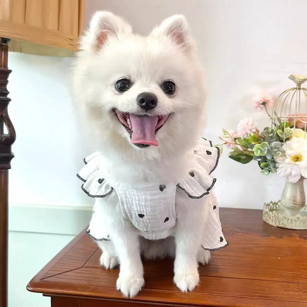 A fluffy white dog wearing a summer bow print pet dress sitting on a wooden surface.