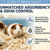 A brown and white guinea pig is shown nestled in natural wood chip bedding for pet bedding shavings.