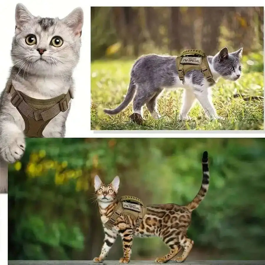 Three cats wearing mesh harnesses for pet escape training, showing different breeds and colors.