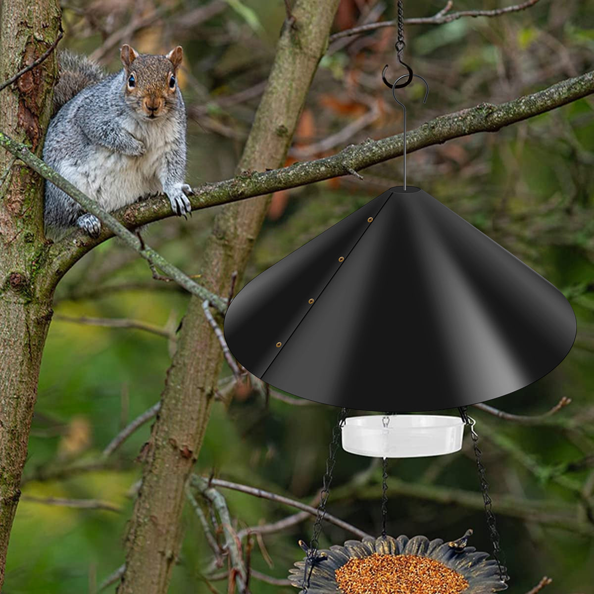 A black squirrel proof baffle guard hanging from a tree branch in a natural outdoor setting.