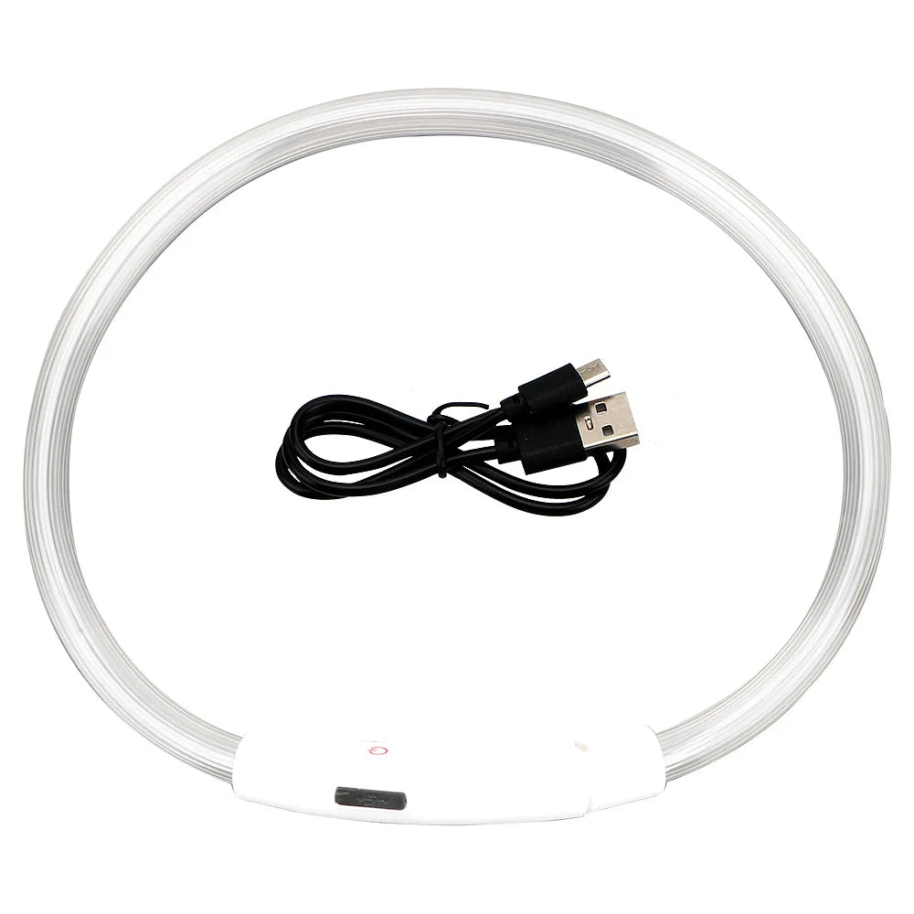 A clear, flexible LED dog collar with a white base and USB charging connector.