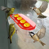 A hummingbird is feeding from a red suction cup feeder with a transparent nectar reservoir.