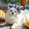Ein flauschiger weißer Hund trägt eine blau gemusterte Bucket-Hat und entspannt sich auf einem grauen Sofa.