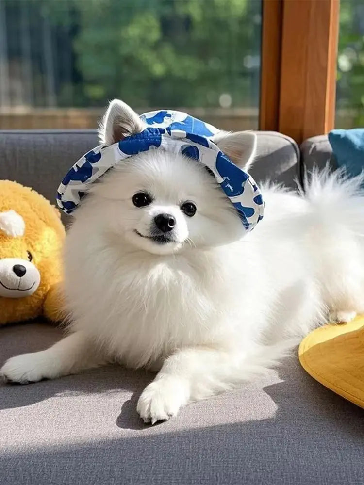 Ein flauschiger weißer Hund trägt eine blau gemusterte Bucket-Hat und entspannt sich auf einem grauen Sofa.