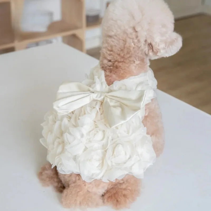 Un perro esponjoso de color marrón claro vistiendo un vestido de fiesta floral blanco con lazo, sentado sobre una superficie 