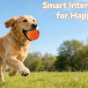A happy golden retriever runs across a green field with its owner, suggesting smart interactive toys for dogs.