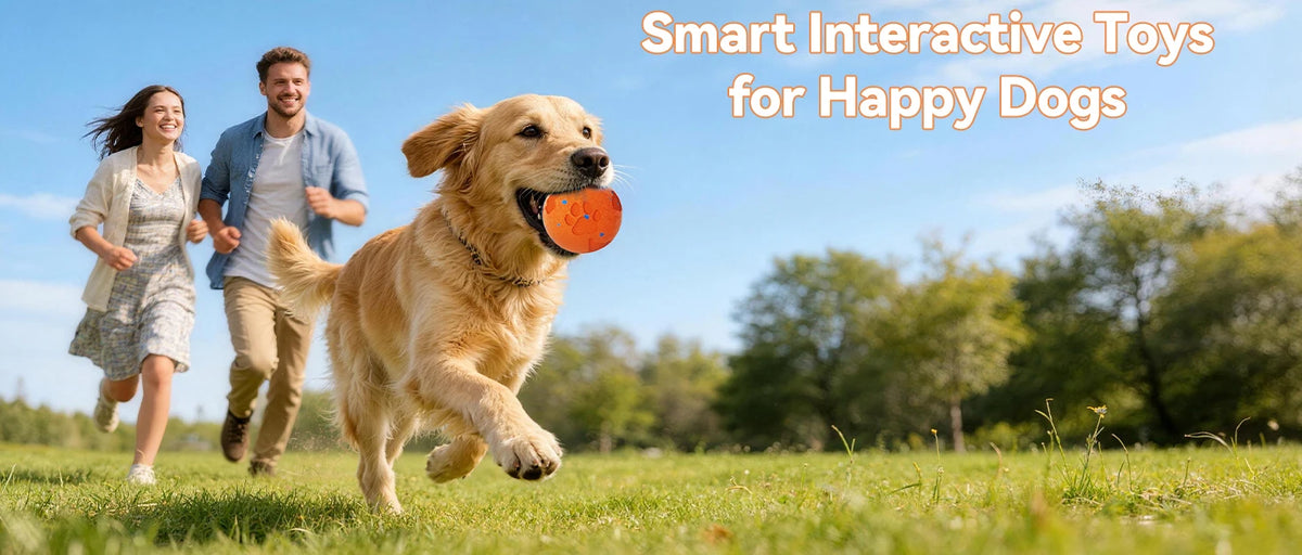 A happy golden retriever runs across a green field with its owner, suggesting smart interactive toys for dogs.