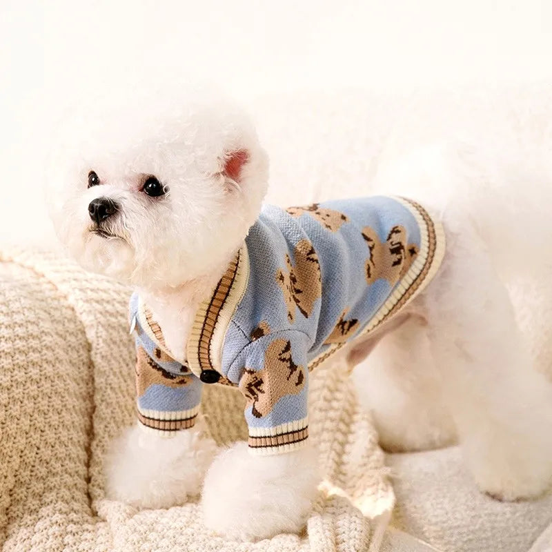 A fluffy white dog wearing a blue knit sweater with a bear pattern, sitting on a textured surface.