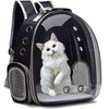 A transparent pet carrier backpack with a fluffy white kitten sitting inside.