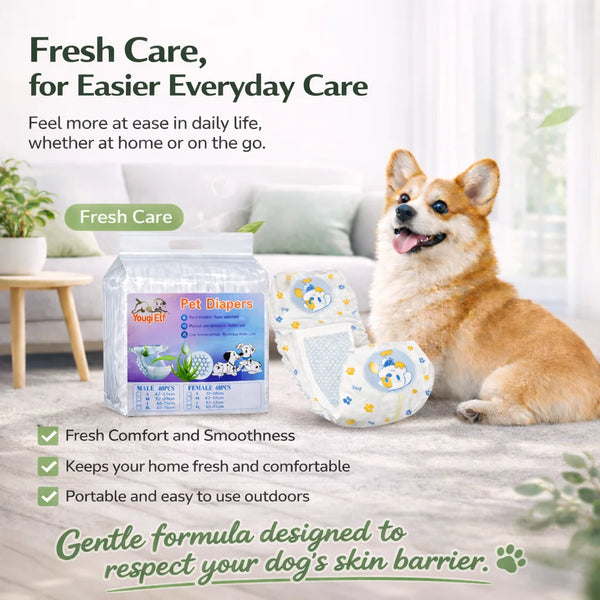 A brown dog is lying on a light surface next to a package of pet diapers and a green plant.