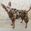 Un petit chien portant un imperméable camouflage à l'intérieur.