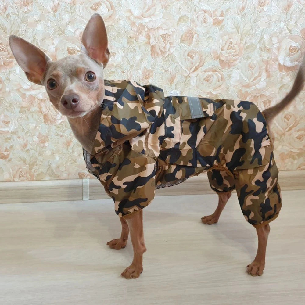 Un petit chien portant un imperméable camouflage à l'intérieur.
