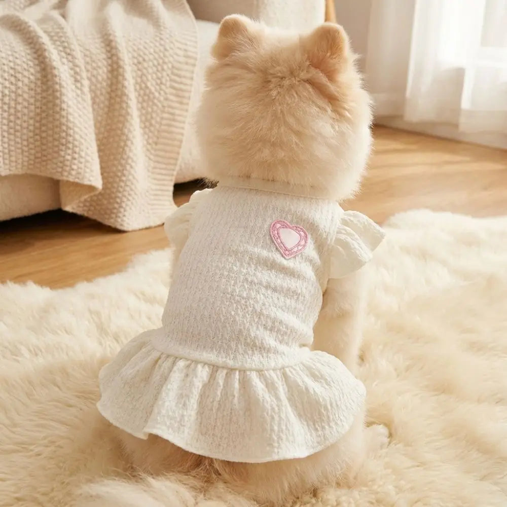 Un chien crème duveteux portant une robe tricotée blanche avec des détails de cœurs roses, assis sur un tapis clair.