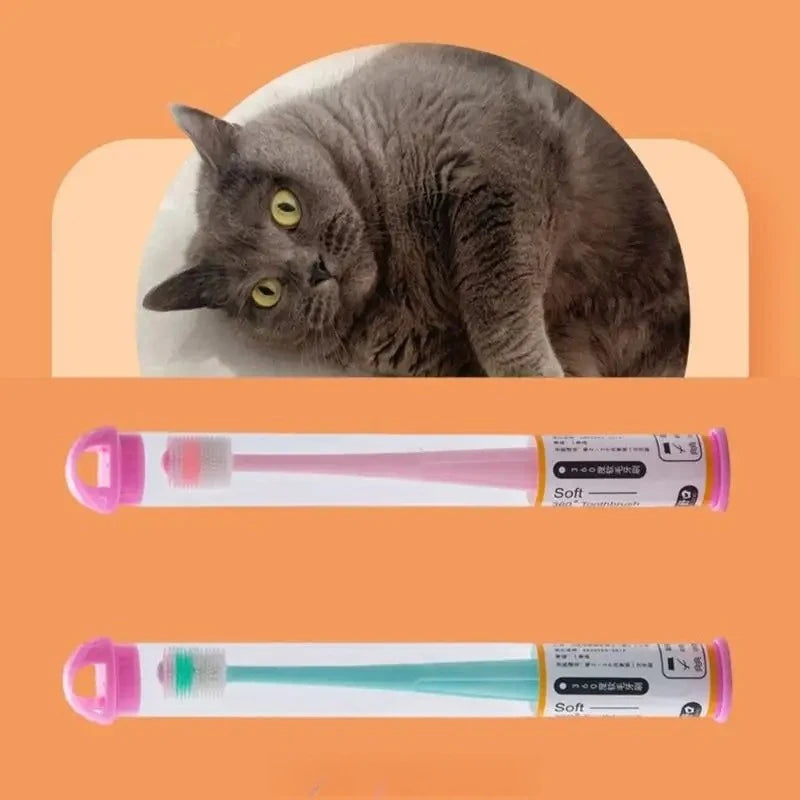 A gray cat is shown next to two silicone pet toothbrushes, one pink and one teal.