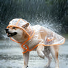 Un chien de couleur claire portant un imperméable transparent en train de courir sous la pluie.