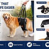 A dog wearing a black harness designed to support the rear legs, shown alongside features for comfort and ease of use.