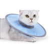 Un chat gris et duveteux portant un collier de convalescence bleu clair vétérinaire.