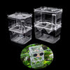Un bac d'isolement en plastique transparent pour la reproduction de guppies, montré sous plusieurs angles.