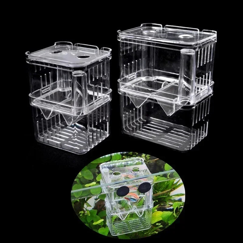 Un bac d'isolement en plastique transparent pour la reproduction de guppies, montré sous plusieurs angles.