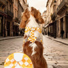 A brown and white dog wearing a checkered ring structure back harness in an outdoor street setting.