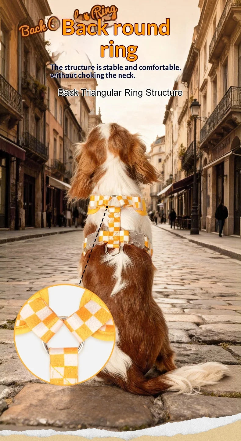 A brown and white dog wearing a checkered ring structure back harness in an outdoor street setting.