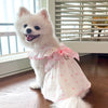Un chien blanc et duveteux portant une robe d'été rose à volants, assis sur un plancher en bois près d'une fenêtre.