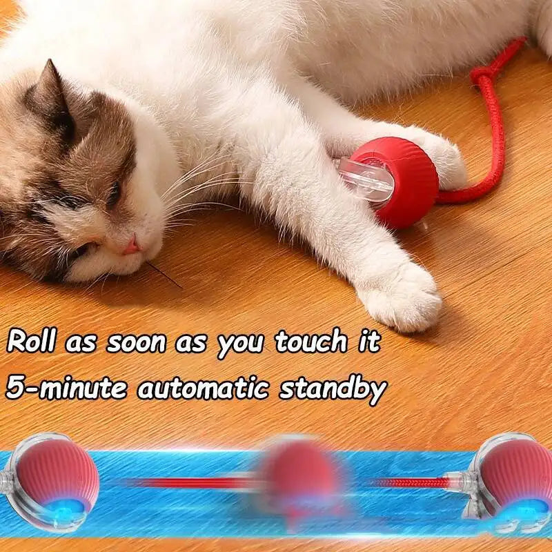 Eine weiße Katze neben einem roten automatischen rollenden Spielzeug, mit einer Illustration des Spielzeugs in Aktion.