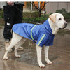A light-colored dog wearing a blue waterproof raincoat outdoors in the rain.