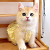 Un chaton orange et blanc duveteux portant une robe avec une couronne florale jaune, assis sur une étagère en bois.