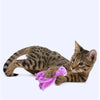 A small tabby kitten is lying down next to a bright pink octopus plush toy.