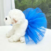 A white poodle wearing a bright blue tulle tutu dress sitting on a white surface.