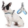 A white and black bulldog wearing a gray and blue adjustable reflective mesh dog harness vest.