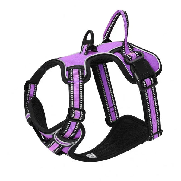 A purple and black adjustable reflective dog harness vest.