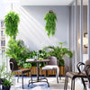 Four artificial Persian fern hanging vines displayed in a modern interior setting.