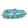 Light blue studded leather dog collar with metal rivets