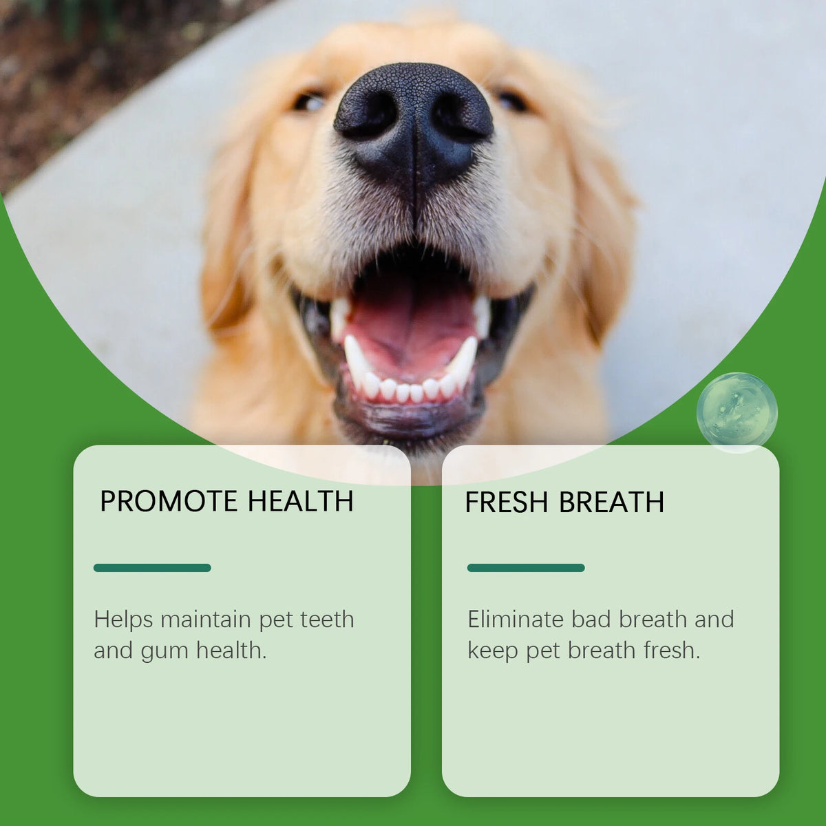 A happy golden retriever dog smiling, positioned above text boxes promoting pet health and fresh breath.