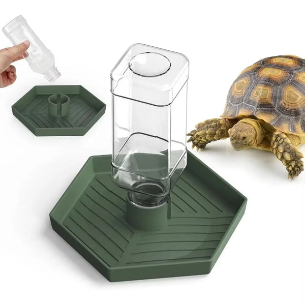A clear glass automatic reptile water dispenser bowl sits on a green tray next to a tortoise.