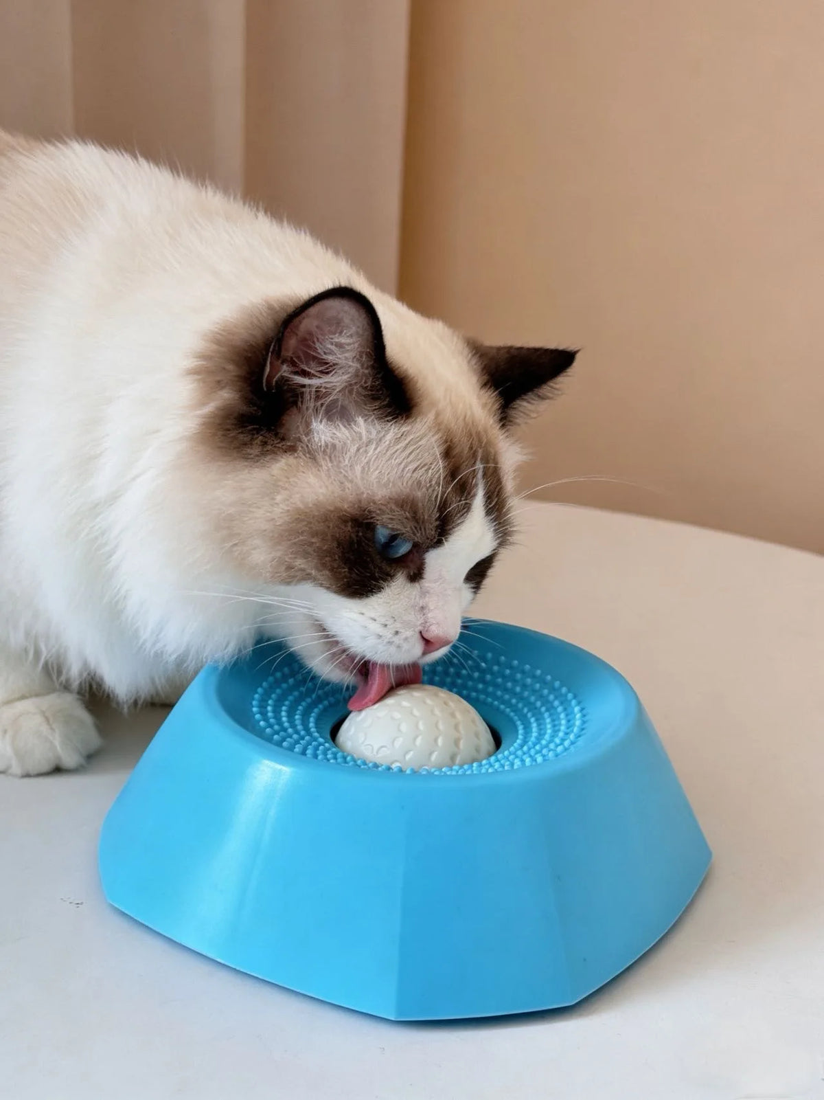 A white cat is interacting with a blue slow feeder bowl, licking a white ball inside.