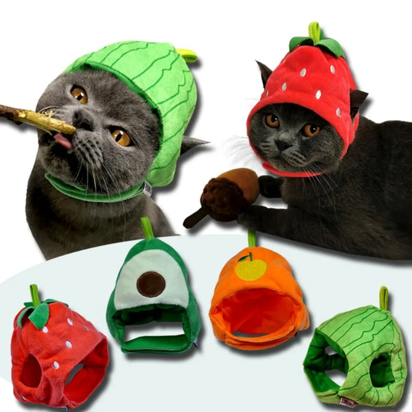 A black cat wearing a green strawberry-shaped hat, alongside various fruit-shaped pet hats for cats and dogs.