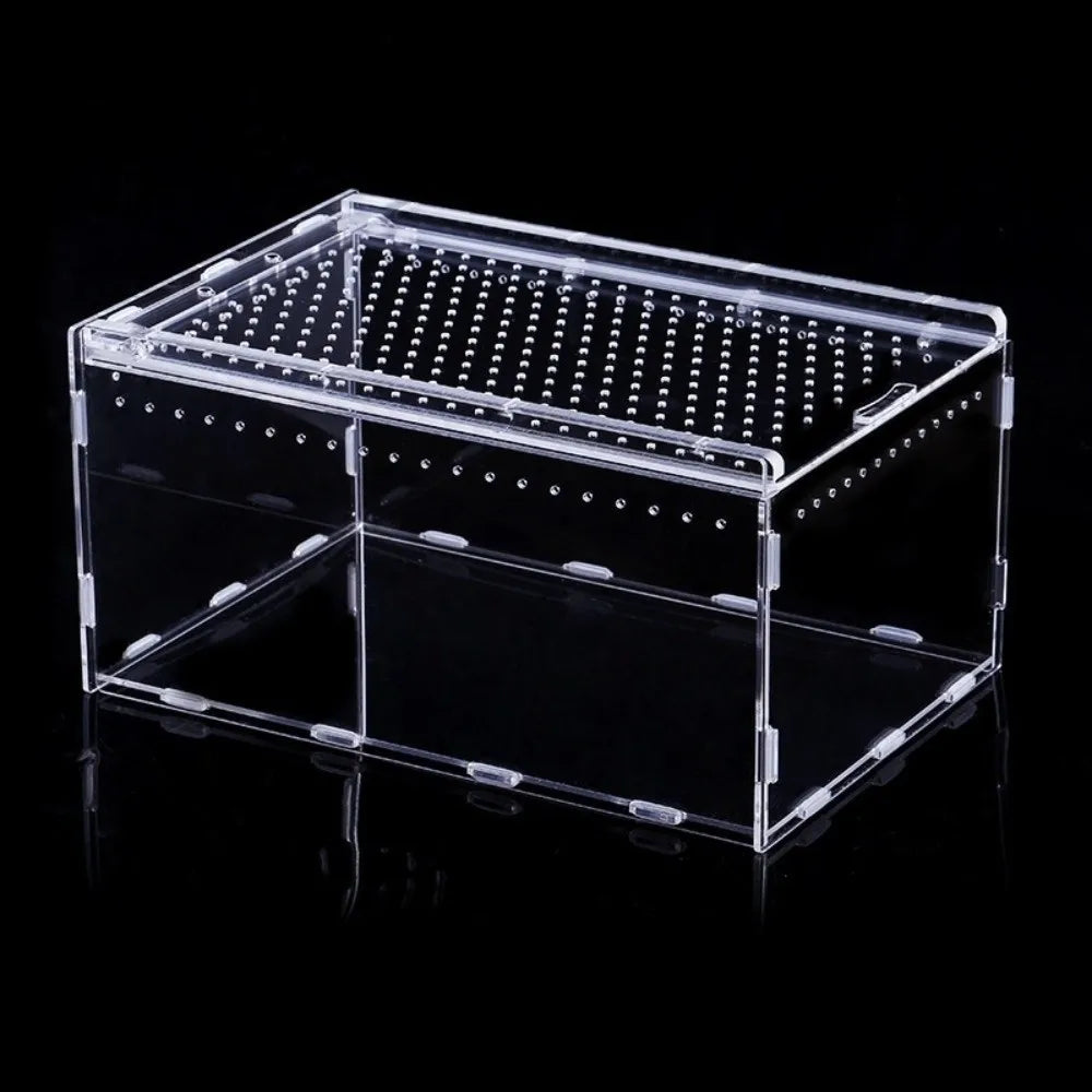 Boîte d'habitat pour reptiles en acrylique transparent avec fond et compartiments en mailles.