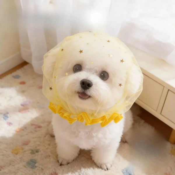Un perro blanco vistiendo un collar de malla amarilla transpirable con detalles dorados de estrella.