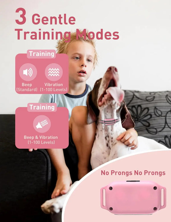 A dog is being trained using a pink no-prong collar with beep and vibration modes.